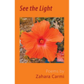 See the Light - Paperback