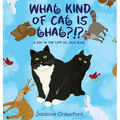 What Kind of Cat is That?!?: A Day in the Life of Jojo Bynx - Hardcover