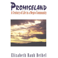 Promiseland: A Century of Life in a Negro Community - Paperback