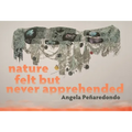 Nature Felt But Never Apprehended - Paperback