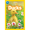 Ducks (National Geographic Kids Readers, Pre-Reader) - Paperback