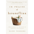 In Praise of Houseflies: Meditations on the Gifts in Everyday Quandaries - Paperback