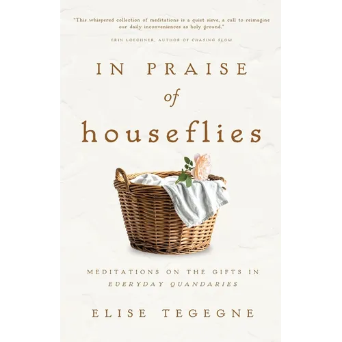 In Praise of Houseflies: Meditations on the Gifts in Everyday Quandaries - Paperback