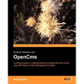 Building Websites with Opencms - Paperback