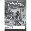 Tricolore 1 Grammar in Action Sixth Edition Workbook Pack - Paperback