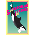 Spectacular Nature: Corporate Culture and the Sea World Experience - Paperback