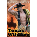 Texas Wildfire - Paperback