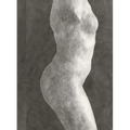 Rodin: Photographs by Emmanuel Berry - Hardcover