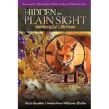 Hidden in Plain Sight - Paperback