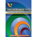 Practical ABAP - FI/CO: A Technical Guide with Functional Perspective - Paperback