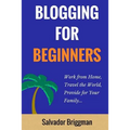 Blogging For Beginners: Work from Home, Travel the World, Provide for Your Family - Paperback
