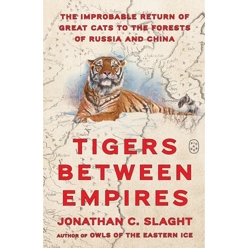 Tigers Between Empires: The Improbable Return of Great Cats to the Forests of Russia and China - Hardcover