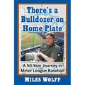 There's a Bulldozer on Home Plate: A 50-Year Journey in Minor League Baseball - Paperback
