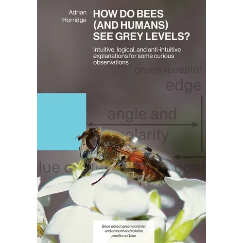 How Do Bees (and Humans) See Grey Levels?: Intuitive, logical, and anti-intuitive explanations for some curious observations - Paperback