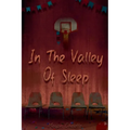 In the Valley of Sleep - Paperback