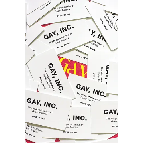 Gay, Inc.: The Nonprofitization of Queer Politics - Paperback