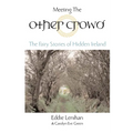 Meeting the Other Crowd: The Fairy Stories of Hidden Ireland - Paperback