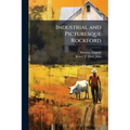 Industrial and Picturesque Rockford - Paperback