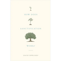 How Does Sanctification Work? - Paperback