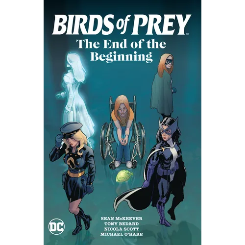 Birds of Prey: The End of the Beginning - Paperback