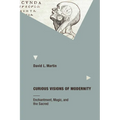 Curious Visions of Modernity: Enchantment, Magic, and the Sacred - Paperback