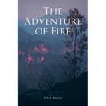 The Adventure of Fire - Paperback