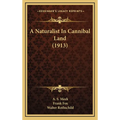 A Naturalist In Cannibal Land (1913) - Hardcover