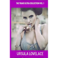 THE TRANS ULTRA COLLECTION Vol. 1 (10 Transgender, Crossdressing, and Feminization Stories) - Paperback