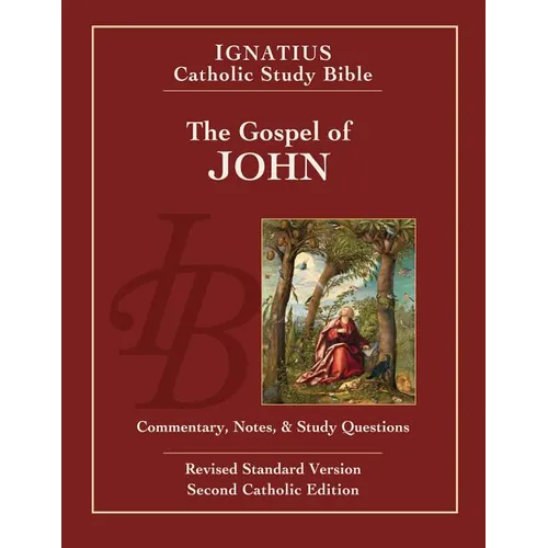 The Gospel of John - Paperback