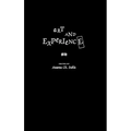 Art and Experience - Hardcover
