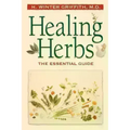 Healing Herbs: A Last Conversation with Pauline Kael - Paperback