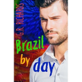 Brazil by Day: Gay Romance - Paperback