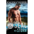 SEAL in a Storm - Paperback