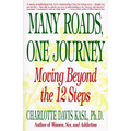 Many Roads One Journey: Moving Beyond the Twelve Steps - Paperback