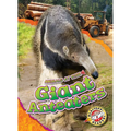 Giant Anteaters - Library Binding