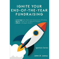 Ignite Your End-of-the-year Fundraising - Paperback