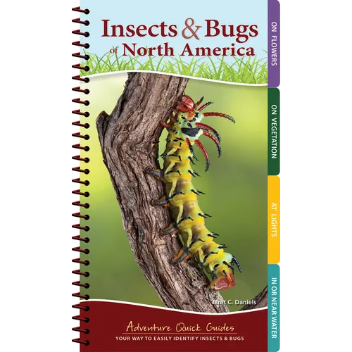 Insects & Bugs of North America: Your Way to Easily Identify Insects & Bugs - Spiral