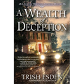 A Wealth of Deception - Hardcover