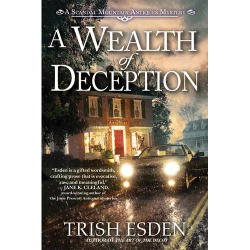 A Wealth of Deception - Hardcover