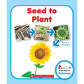 Seed to Plant (Rookie Read-About Science: Life Cycles) - Paperback