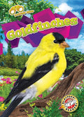 Goldfinches - Library Binding