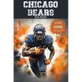 Chicago Bears Fun Facts - Paperback