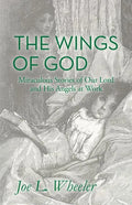 The Wings of God: Miraculous Stories of Our Lord and His Angels at Work - Paperback
