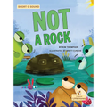 Not a Rock - Paperback