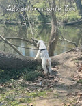Adventures with Zoé - Paperback