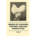 Breeds of Chickens for Meat and Egg Production - Paperback