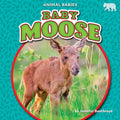 Baby Moose - Library Binding