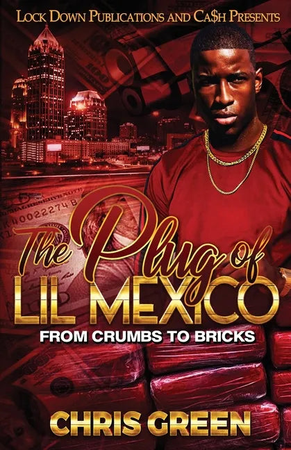 The Plug of Lil Mexico - Paperback