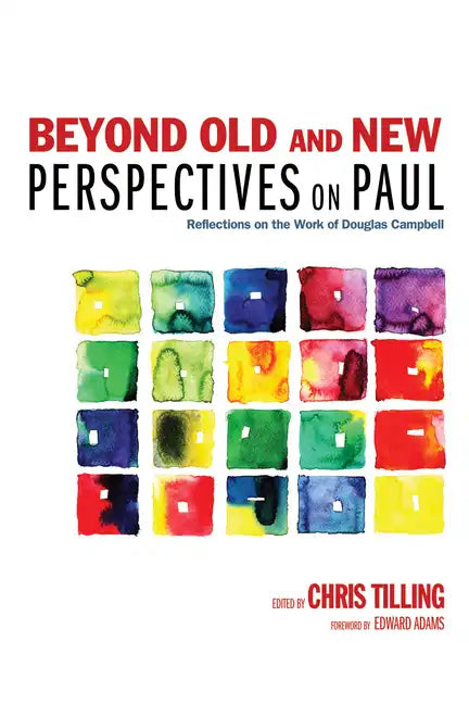 Beyond Old and New Perspectives on Paul - Paperback