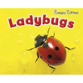 Ladybugs - Paperback